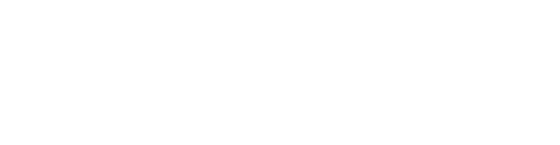 Austin Portable Toilets logo